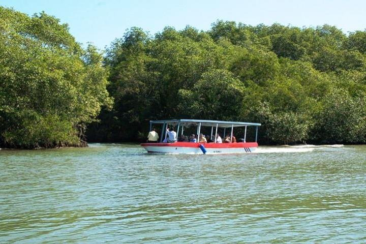 Damas Island Boat